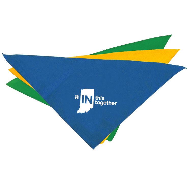 Small Full Color Sublimated Triangle Pet Bandana