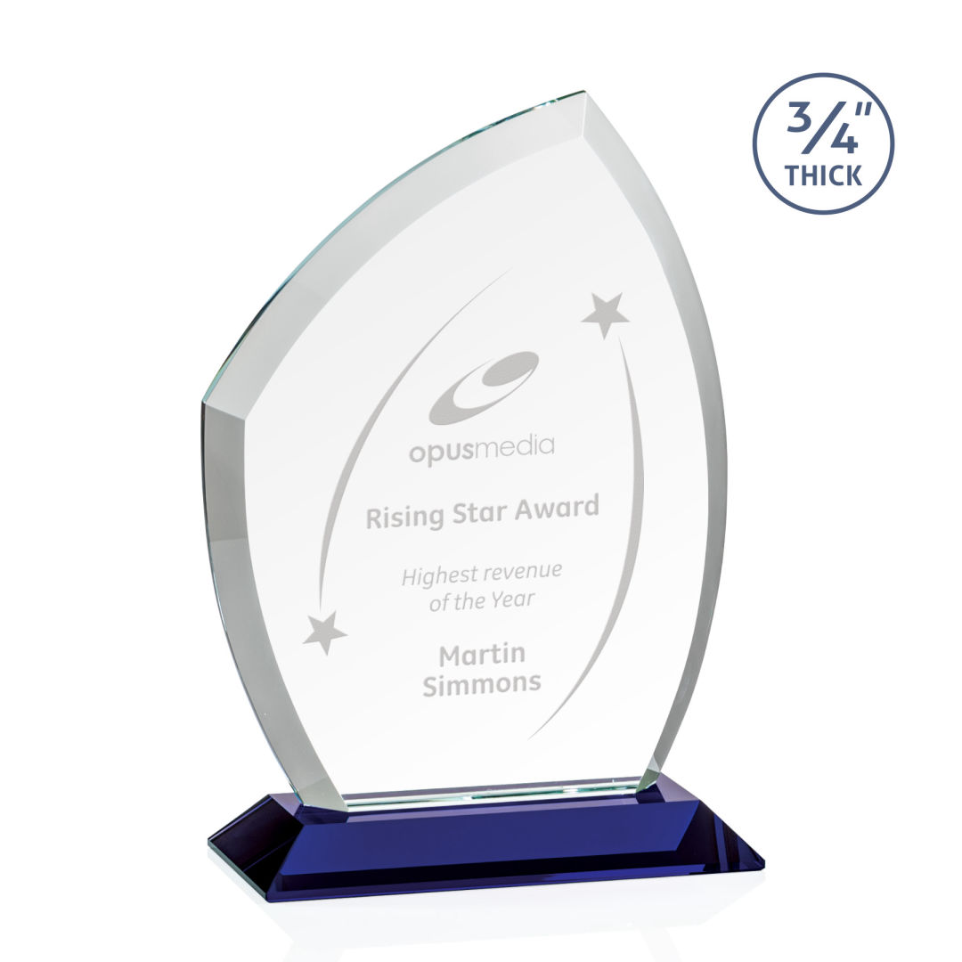 Daltry Award - Blue 5