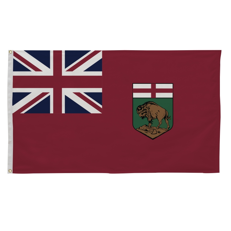 3' x 5' International Flags 263