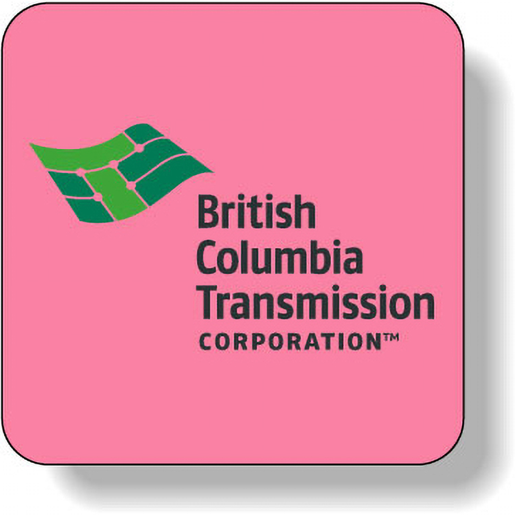 Fluorescent Red Paper Roll Labels Stock Square (1.5"x1.5")