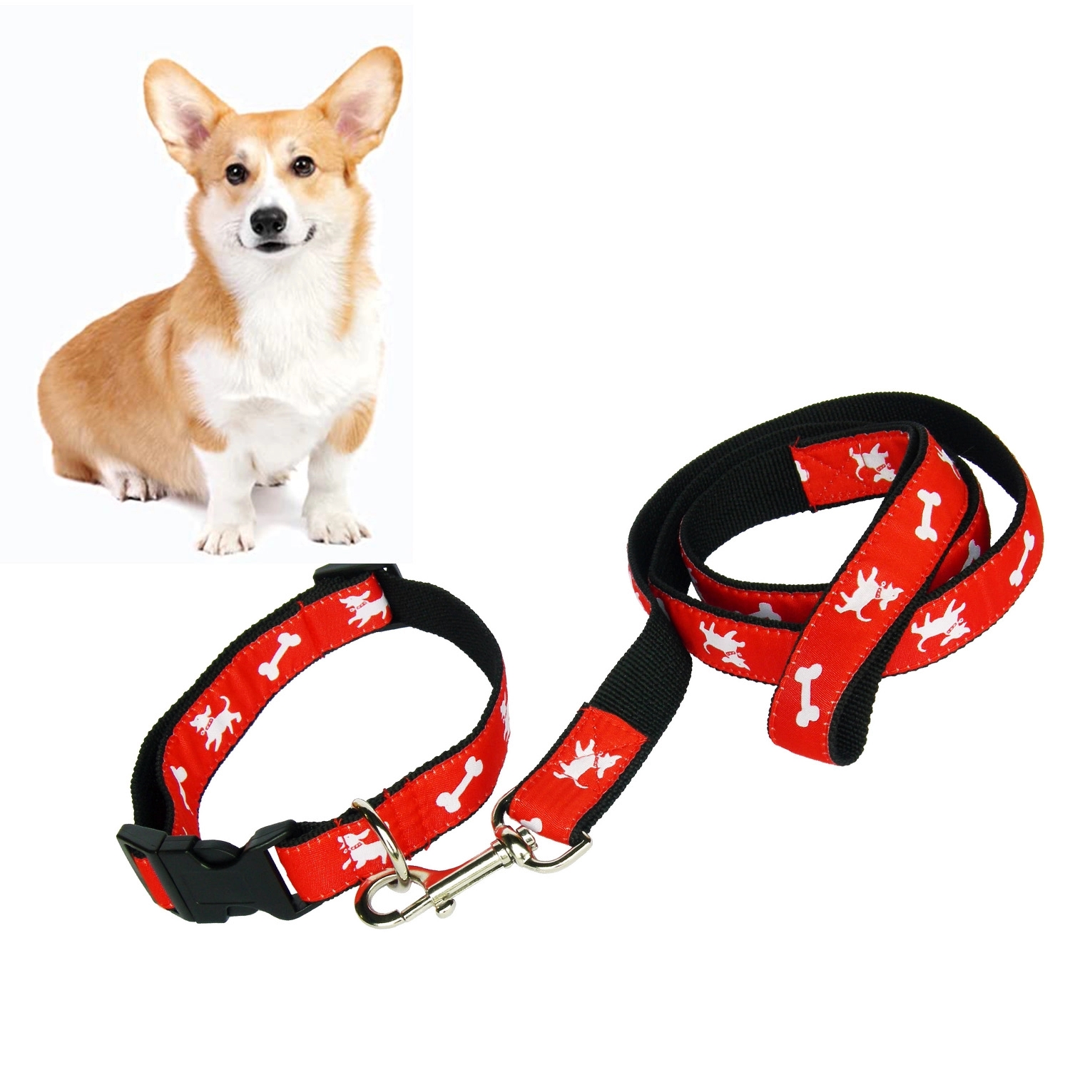 Dog Collar & Leash Set W/ Carabiner Hook 5