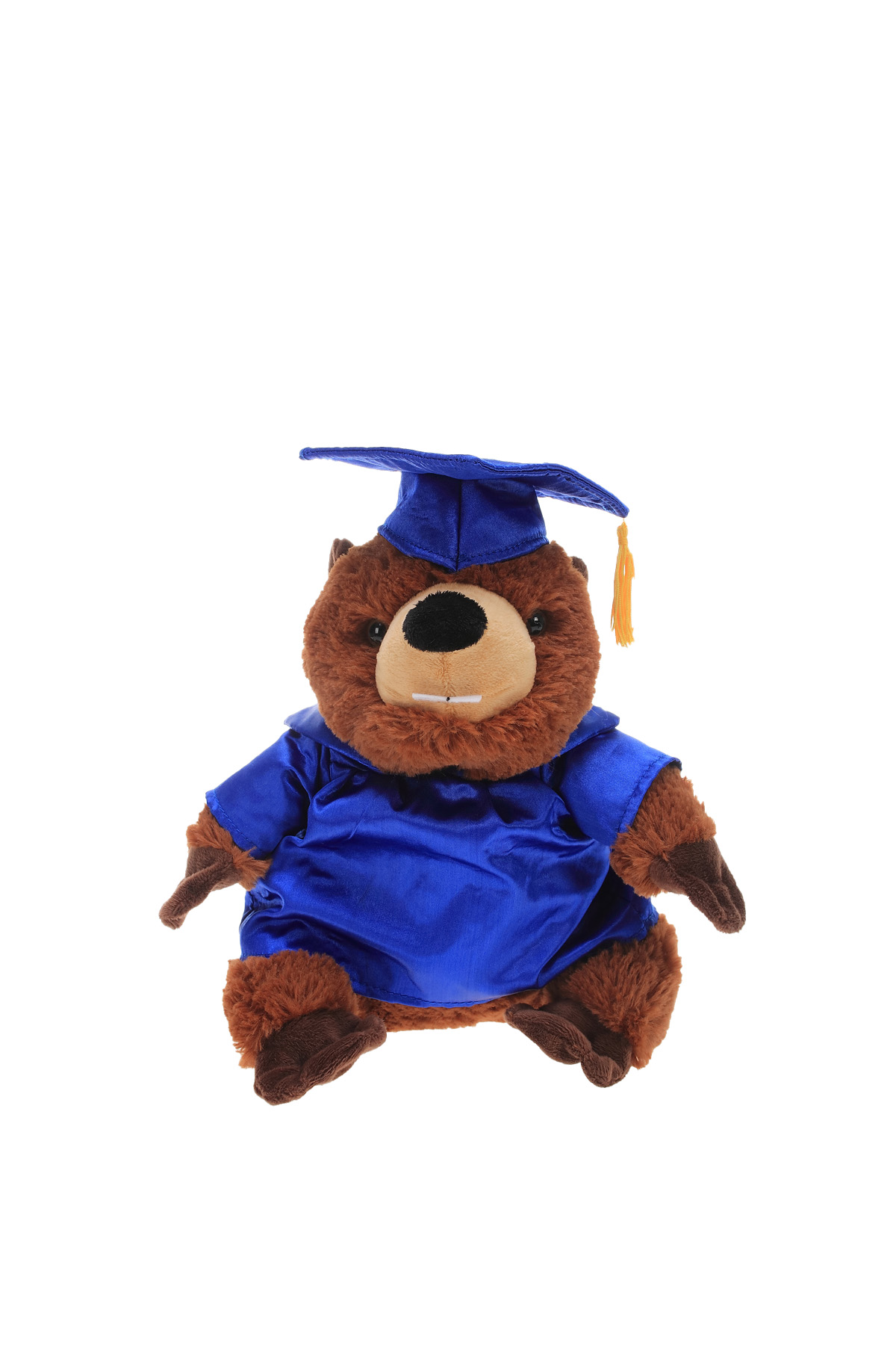 Soft Plush Beaver with Graduation Cap and Gown 3