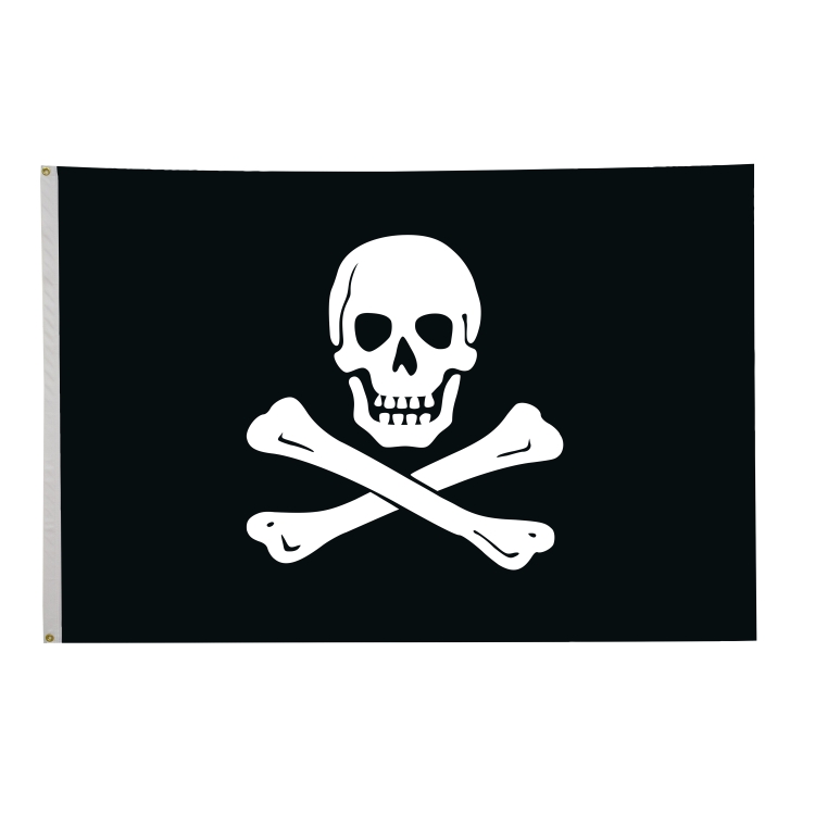 4' x 6' Historical Flags 24