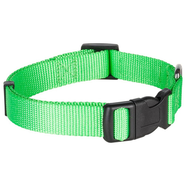 High Qulity Pet Collar 5