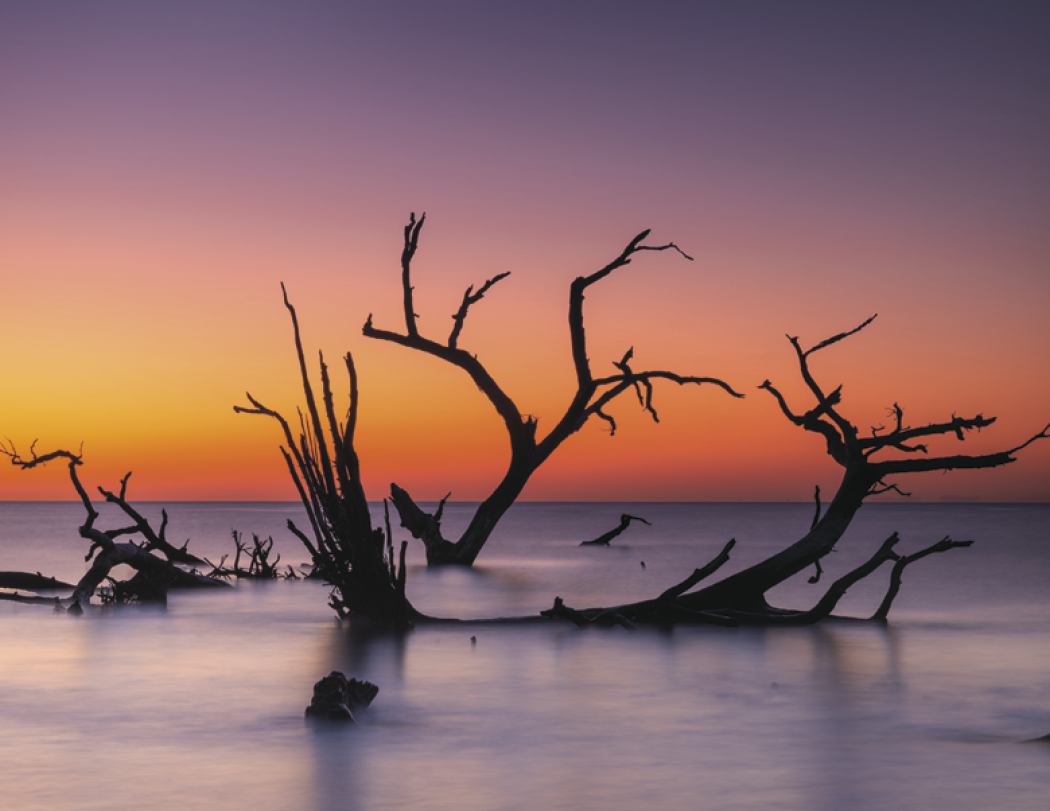 Triumph® Calendars Sunrise Sunset Calendar 12