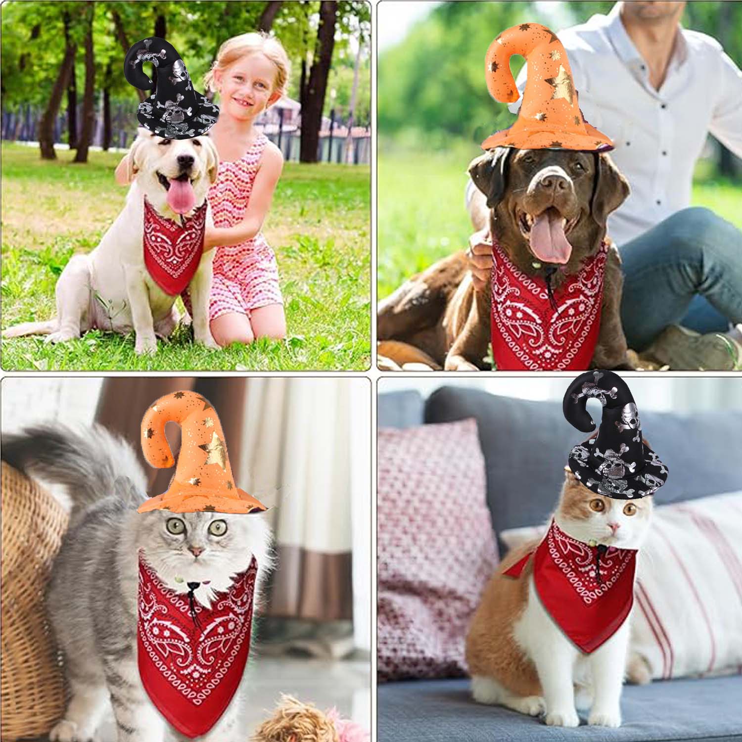 Halloween Hat/Scarf Decoration For Pet 5