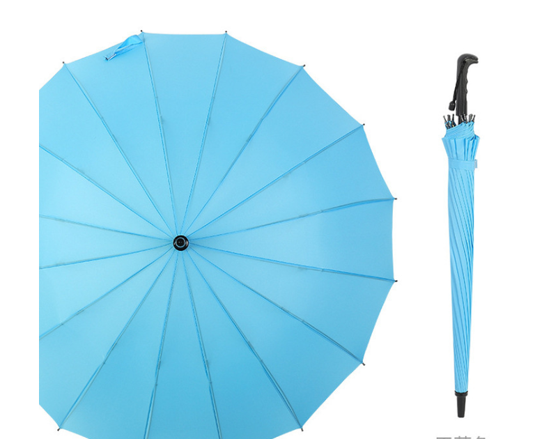 16 Bone Umbrella 2