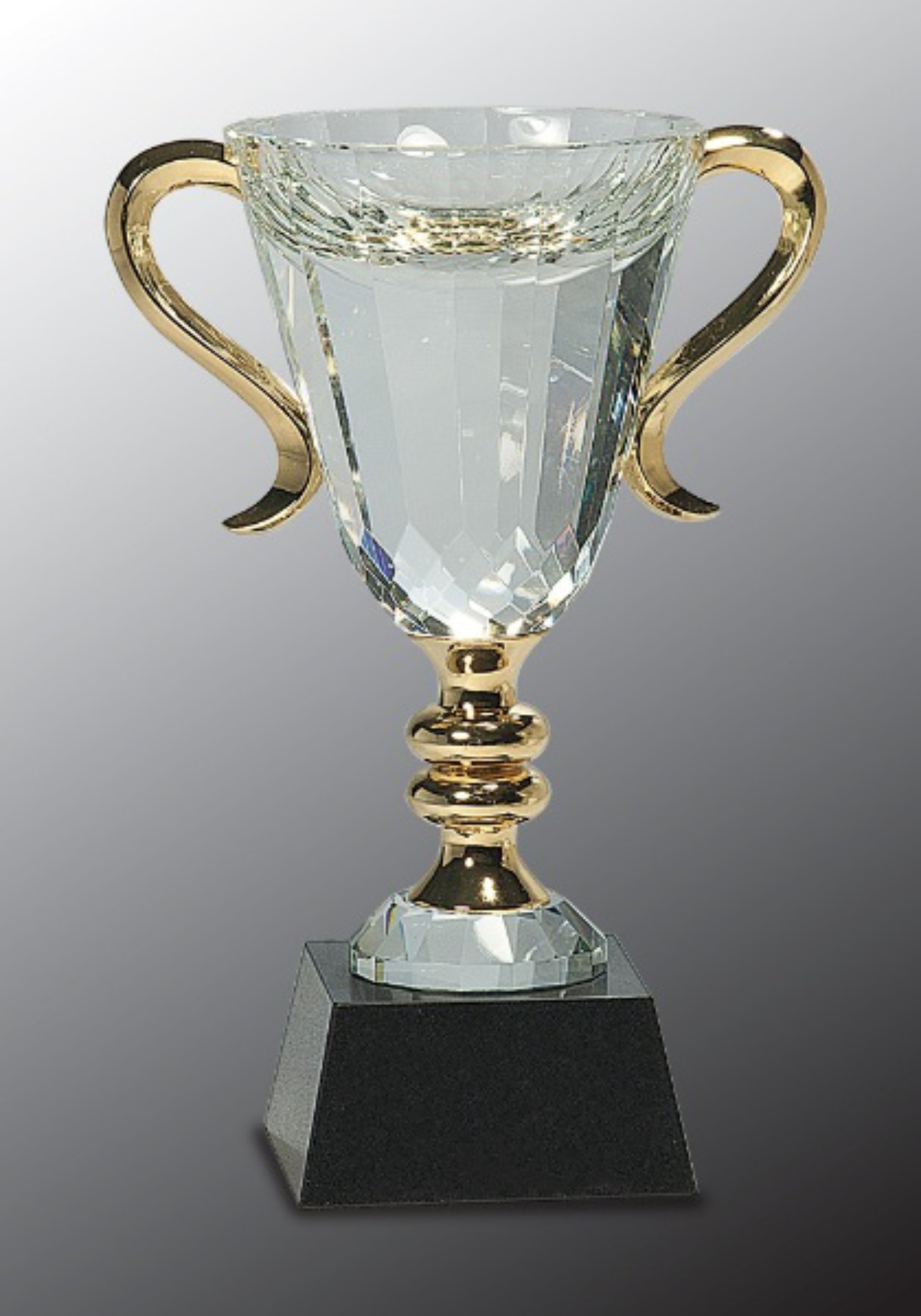 8 1/2" Crystal Cup with Gold Handles and Stem Crystal Award 3