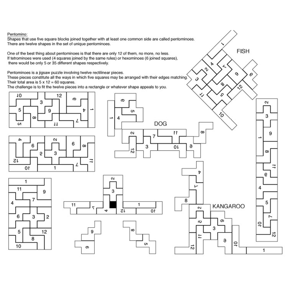 Wood Shapes Challenge Puzzle 11