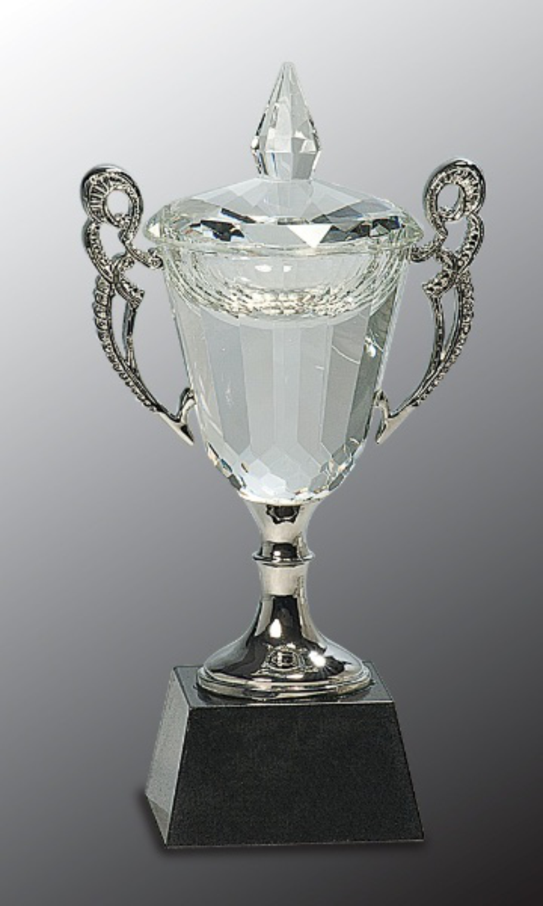 8" Crystal Cup with Silver Handles and Stem Crystal Award 3