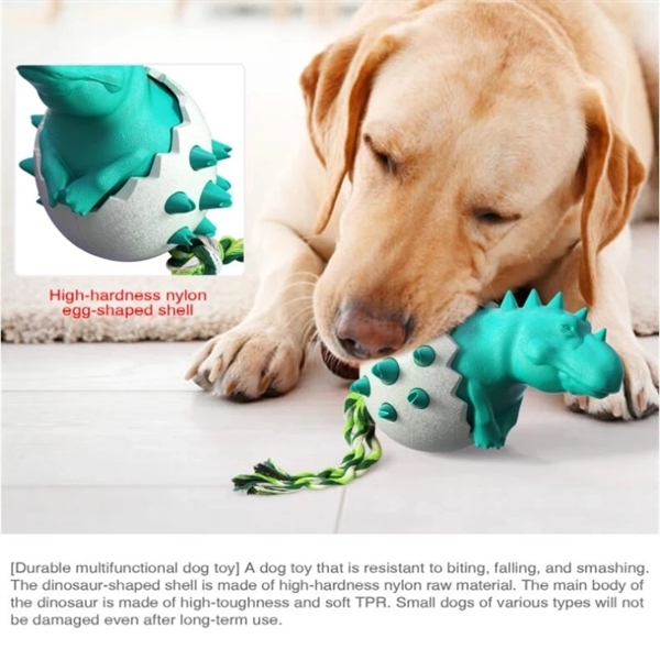 Molar Stick Dog Toy 6