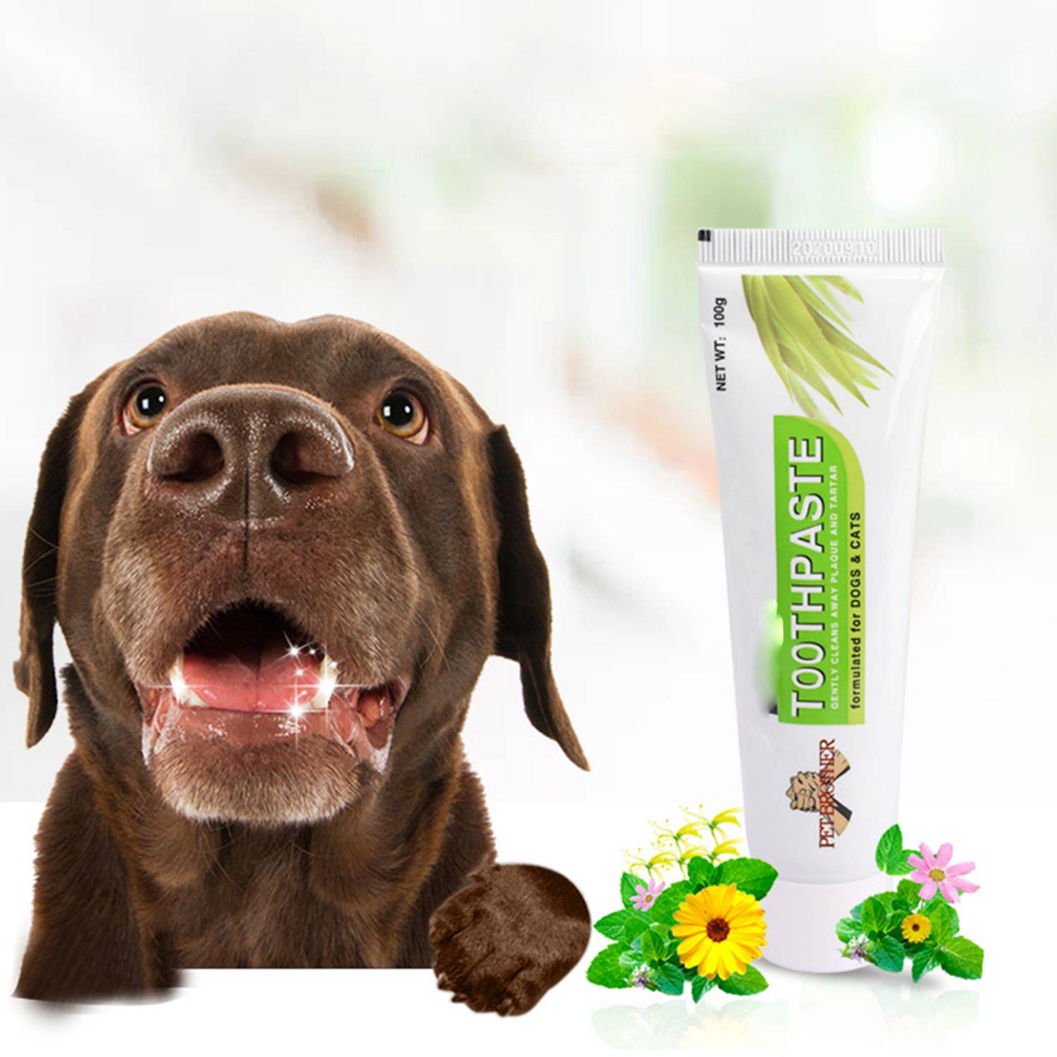 Pet Teeth Cleaning Flavored Toothbrush Toothpaste Set 5