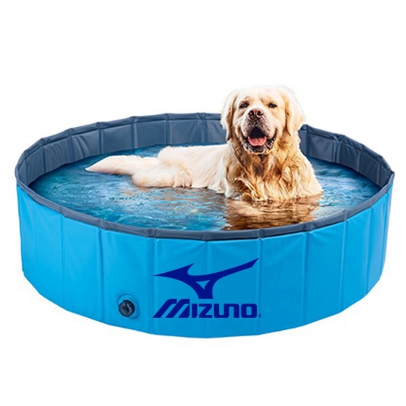 Pet Dog Swimming Pool 2