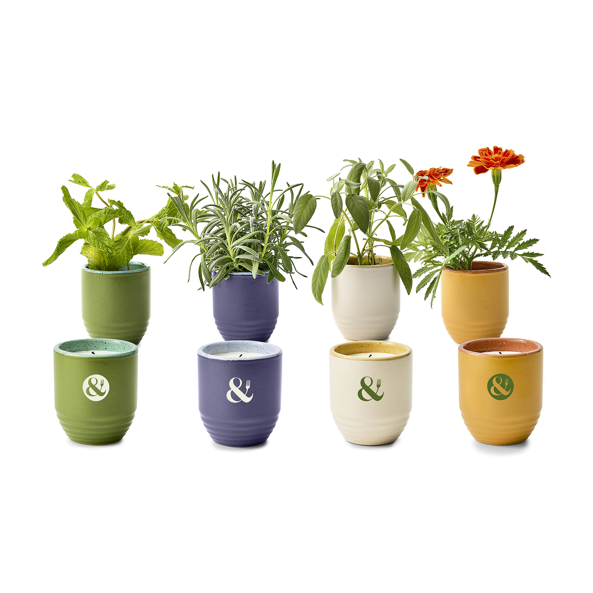 Modern Sprout® Garden Vibes Candle/Planter 4