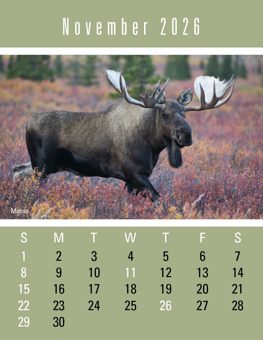 Press-N-Stick Sportsmen Calendar