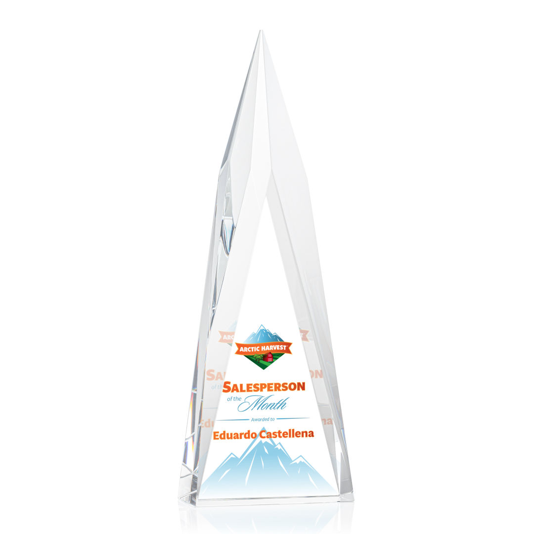 Salisbury VividPrint™ Award 6