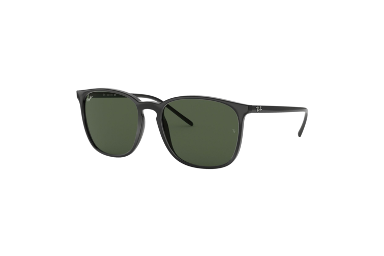 Ray-Ban RB4387 Sunglasses 1