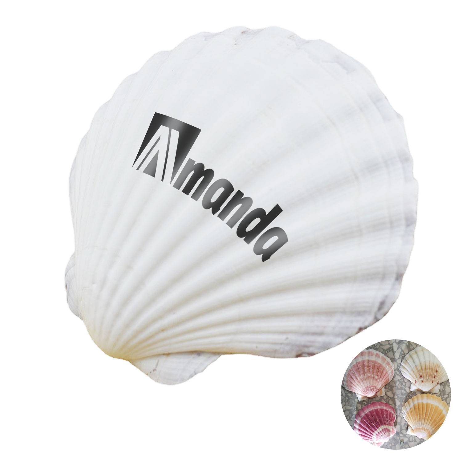 Shells 2