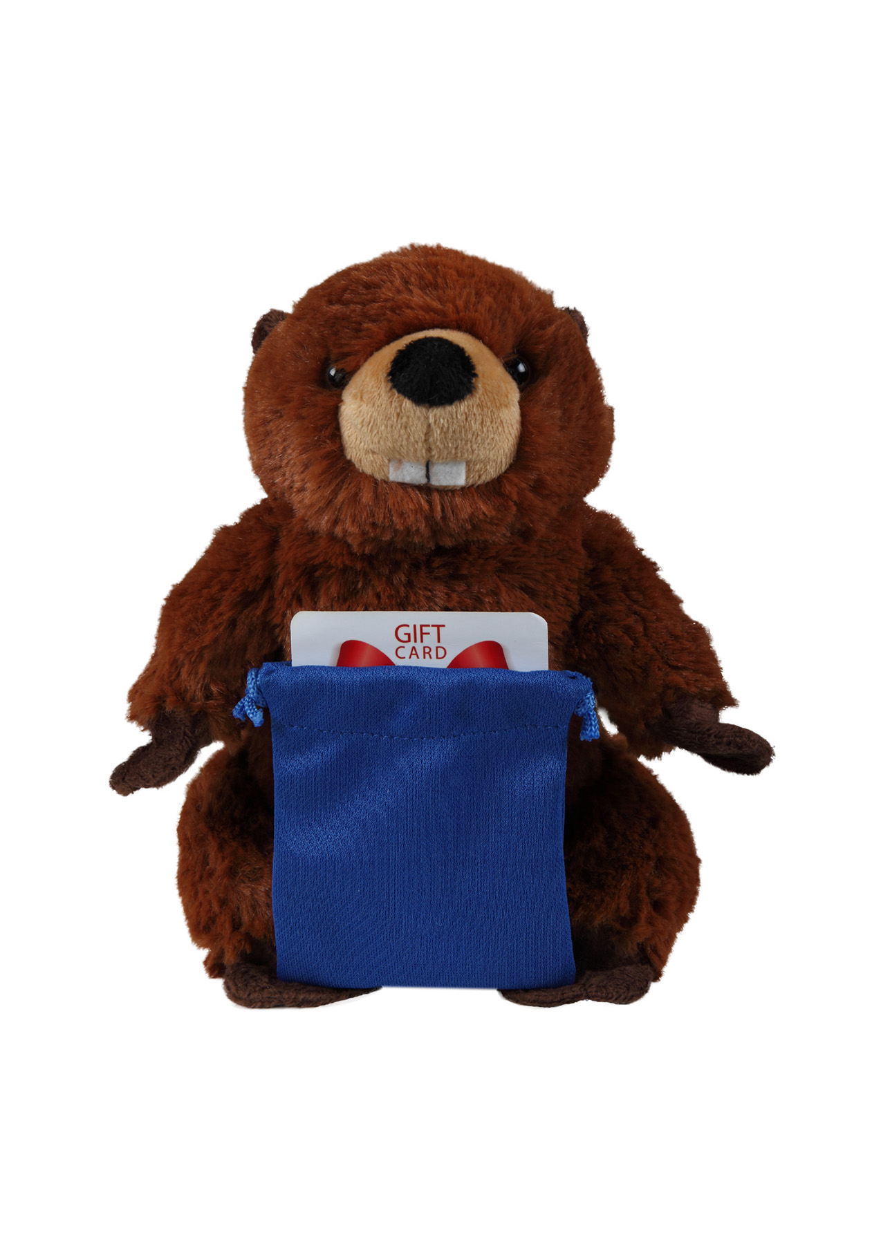 Soft Plush Sitting Beaver with Gift Card Sack 2