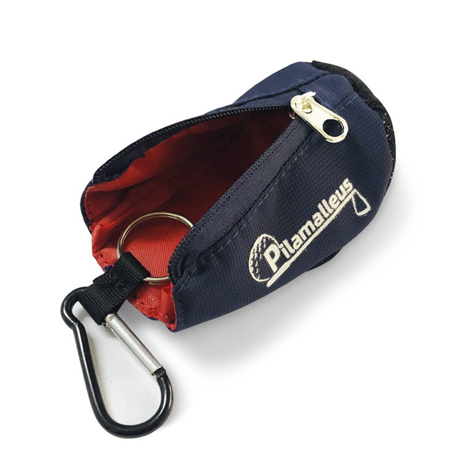 Golt Ball Case 4