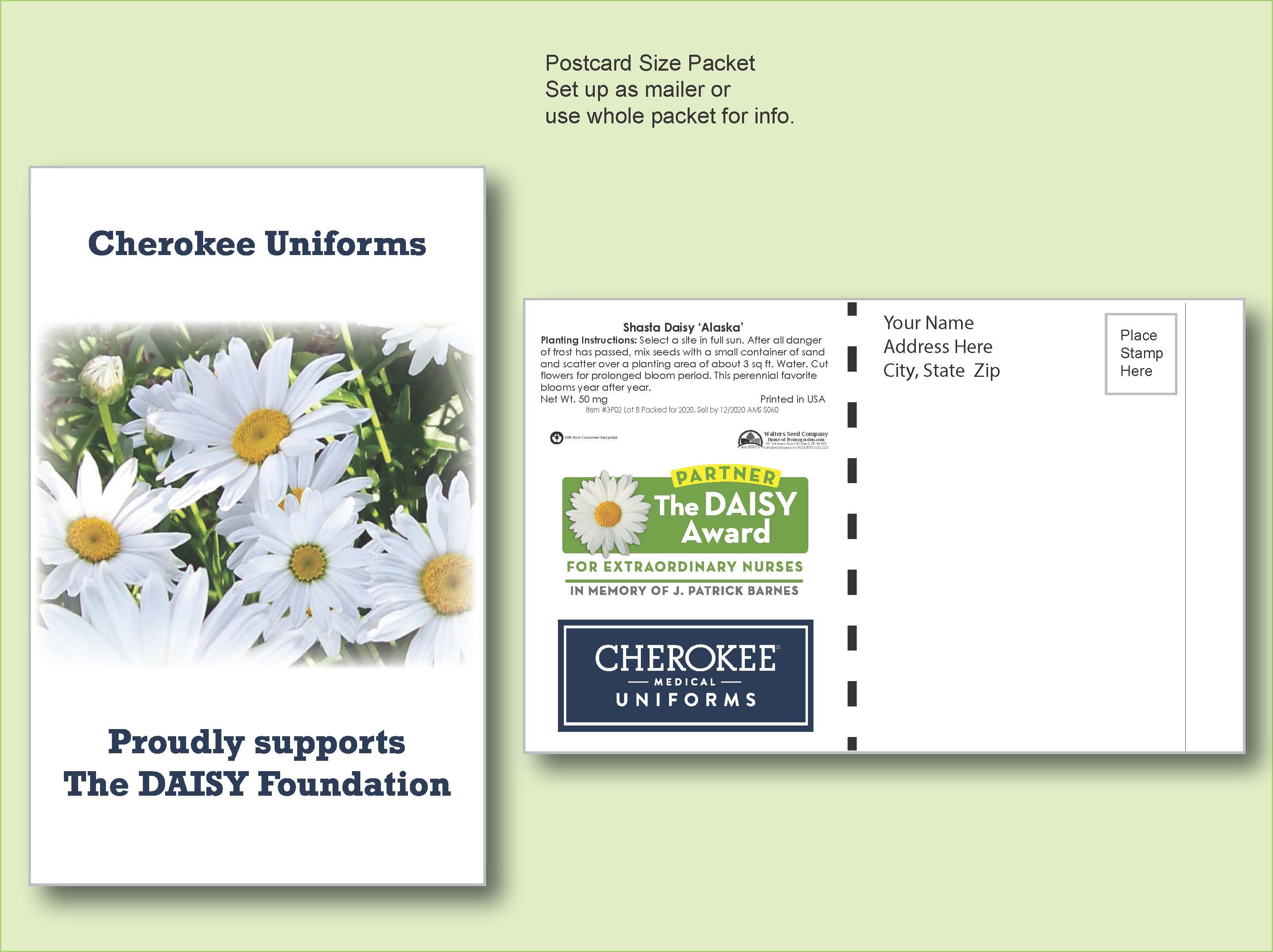 Shasta Daisy Flower Seed Packet - Postcard Mailer Size 4" x 6.5" 1
