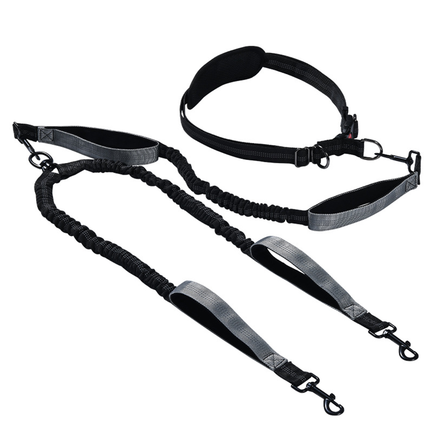 Multi-Function Pet Leash for Running & Fitness 2