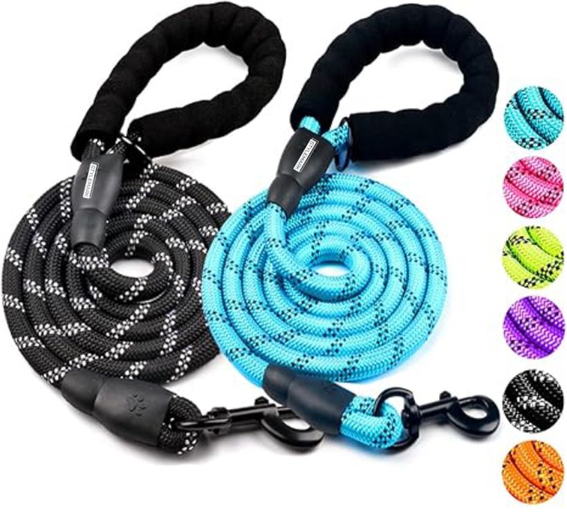 Dog Leash 1