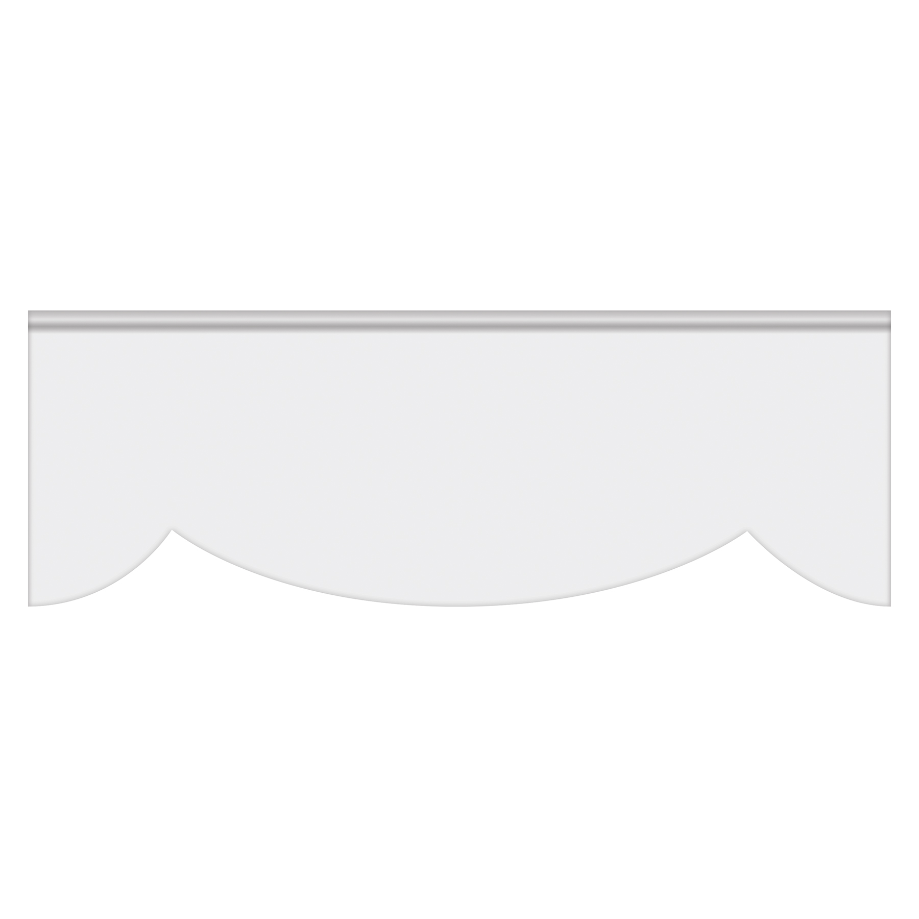 2.5' x 8' Parade Lead Banner - No Fringe 5