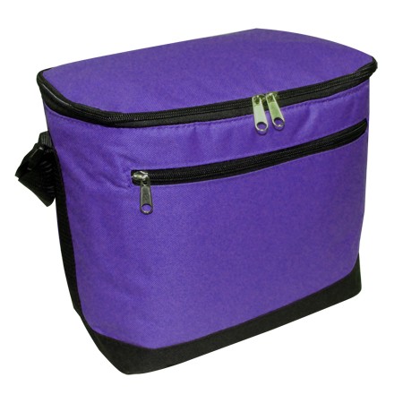 12 Pack Cooler Bag 7