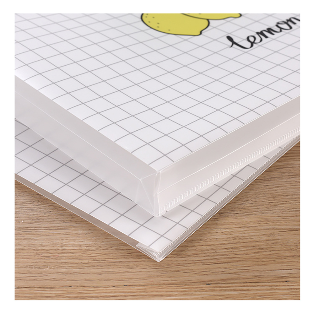 Plastic Document File Bag 8
