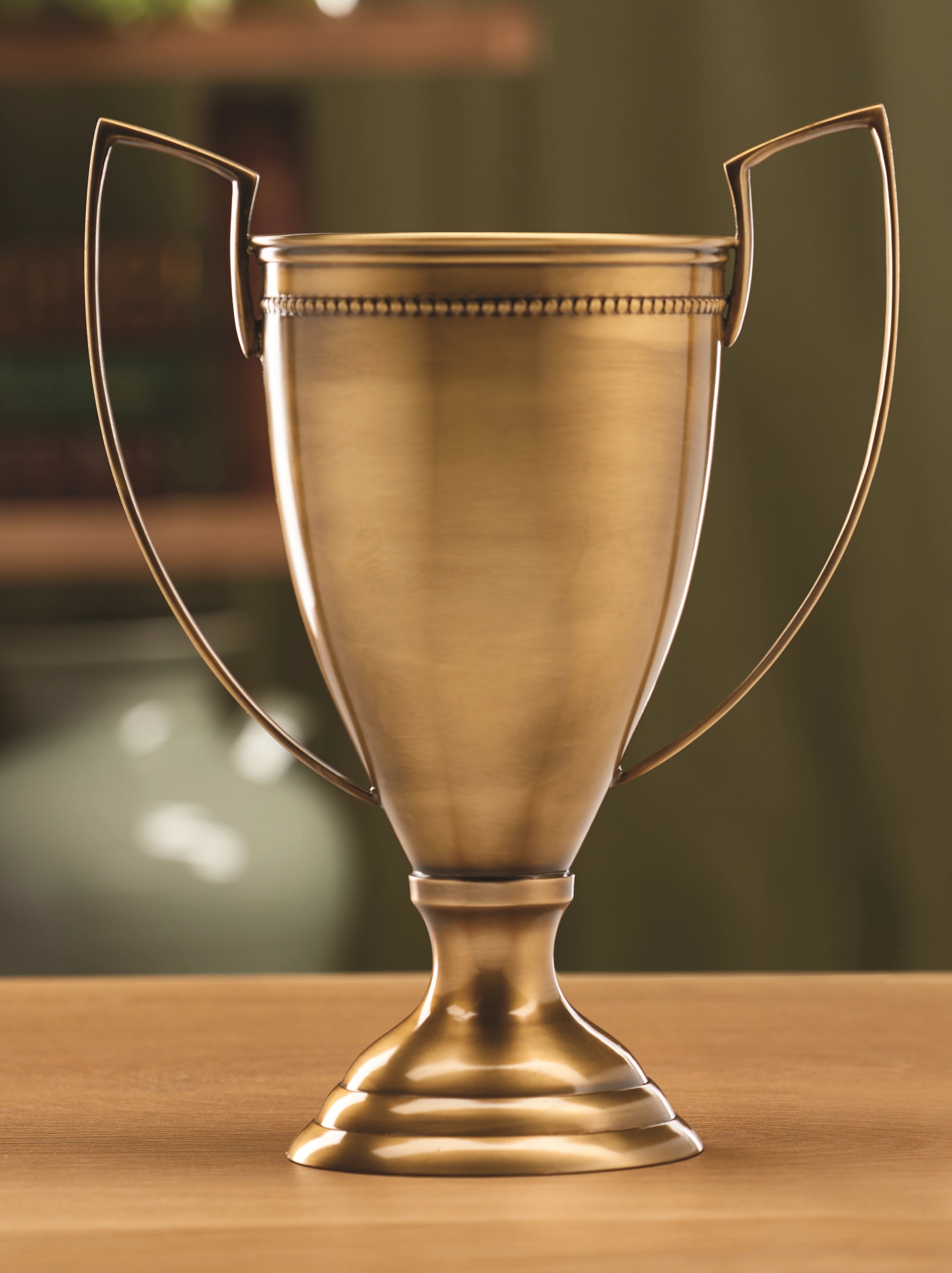 Erikson Trophy - Antiqued Brass 3