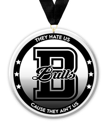 Acrylic Circle Medallions: BULLS 3" Size, .25" 2