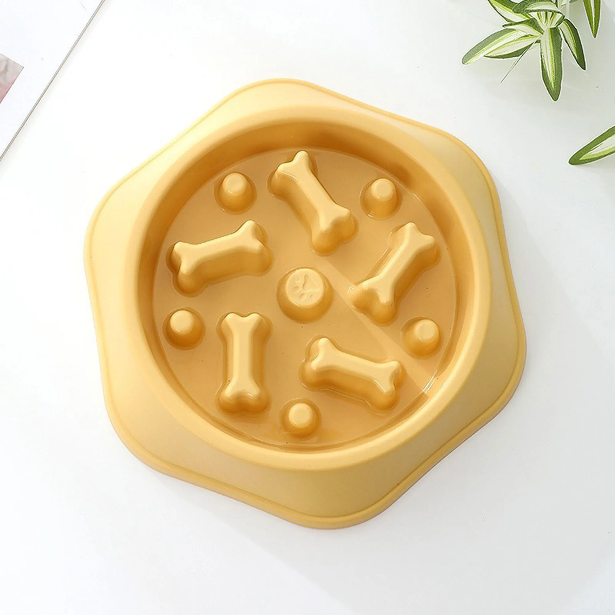 Slo Pet Bowl 8