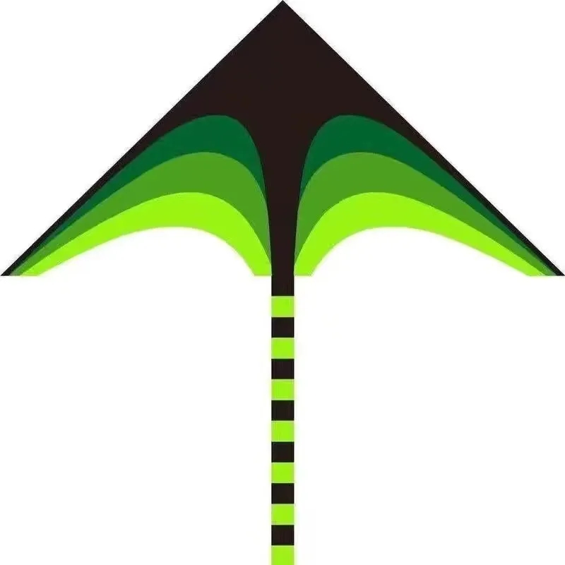 Beginner kite 7