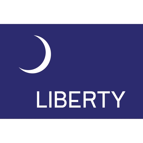 Special Historical Stick Flag - Fort Moultrie 2