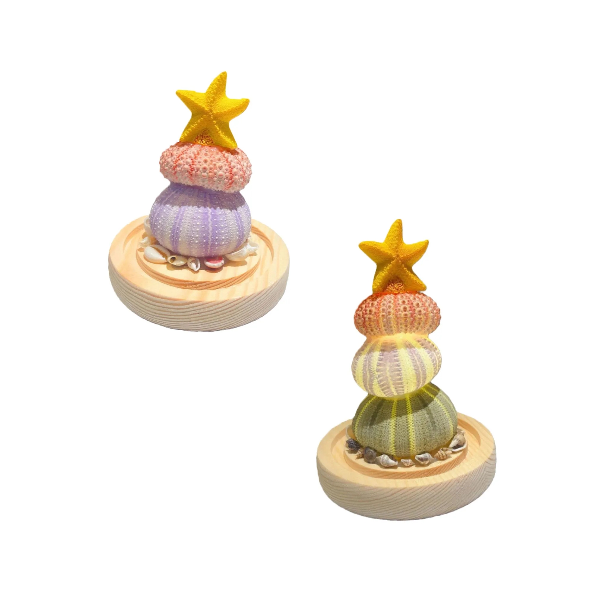 Illuminated Seashell Ornament Ambient