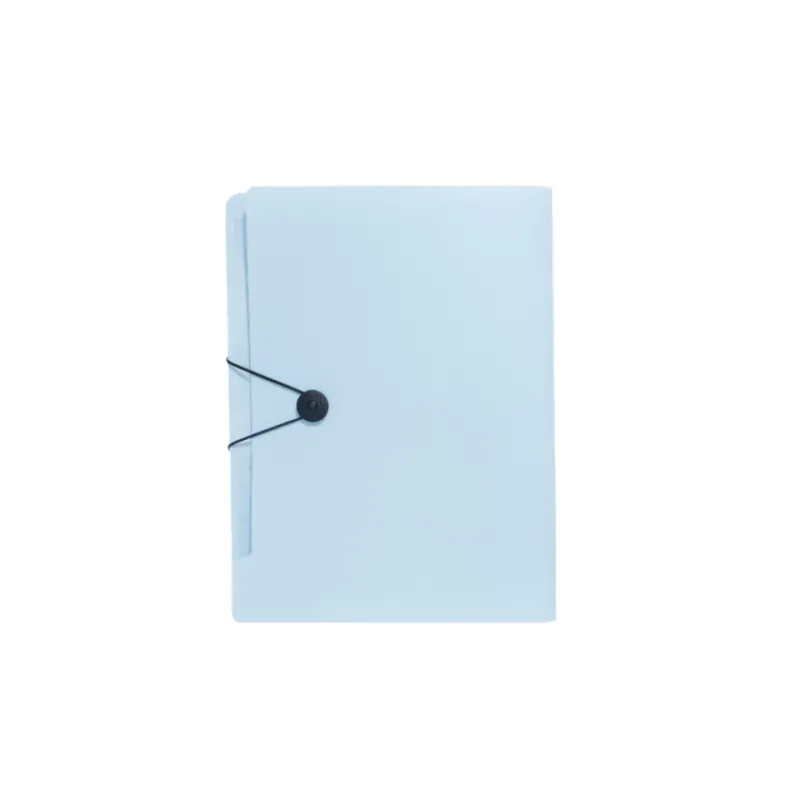 Expanding File Organizer 6