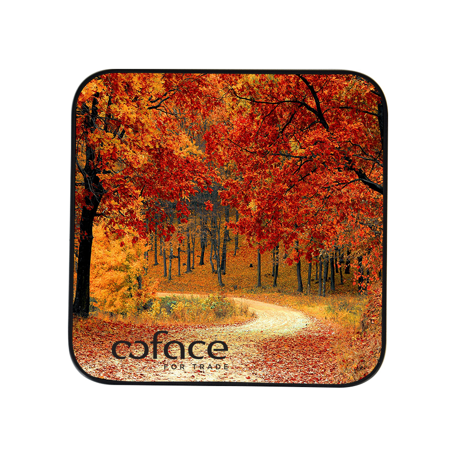 EcoTech Eco-Friendly 15W Wireless Fast Charging Power Bank with Light-Up Logo 6