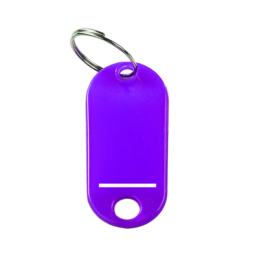 Plastic Key Tags With Label Window 8