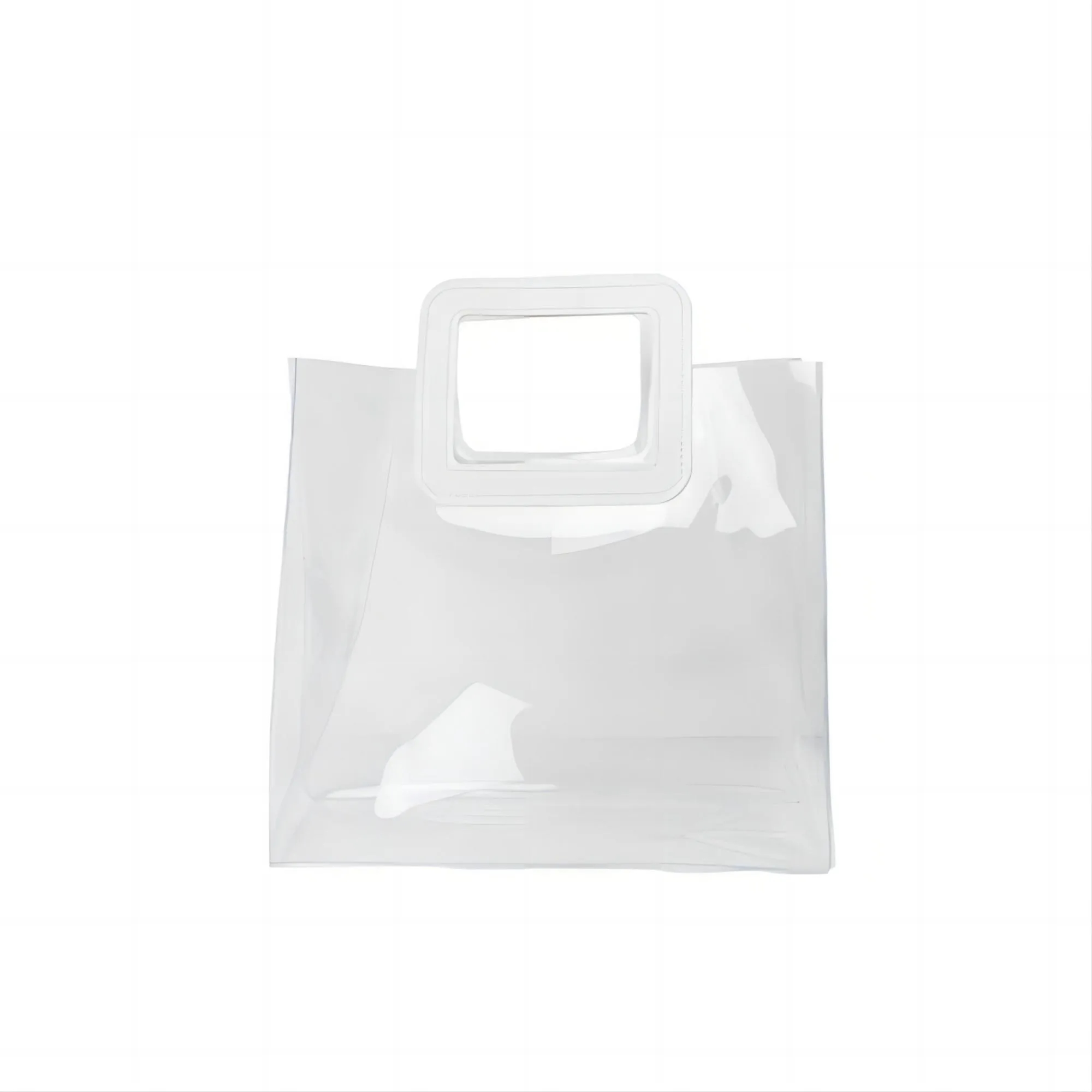 Transparent Gift Bag 2