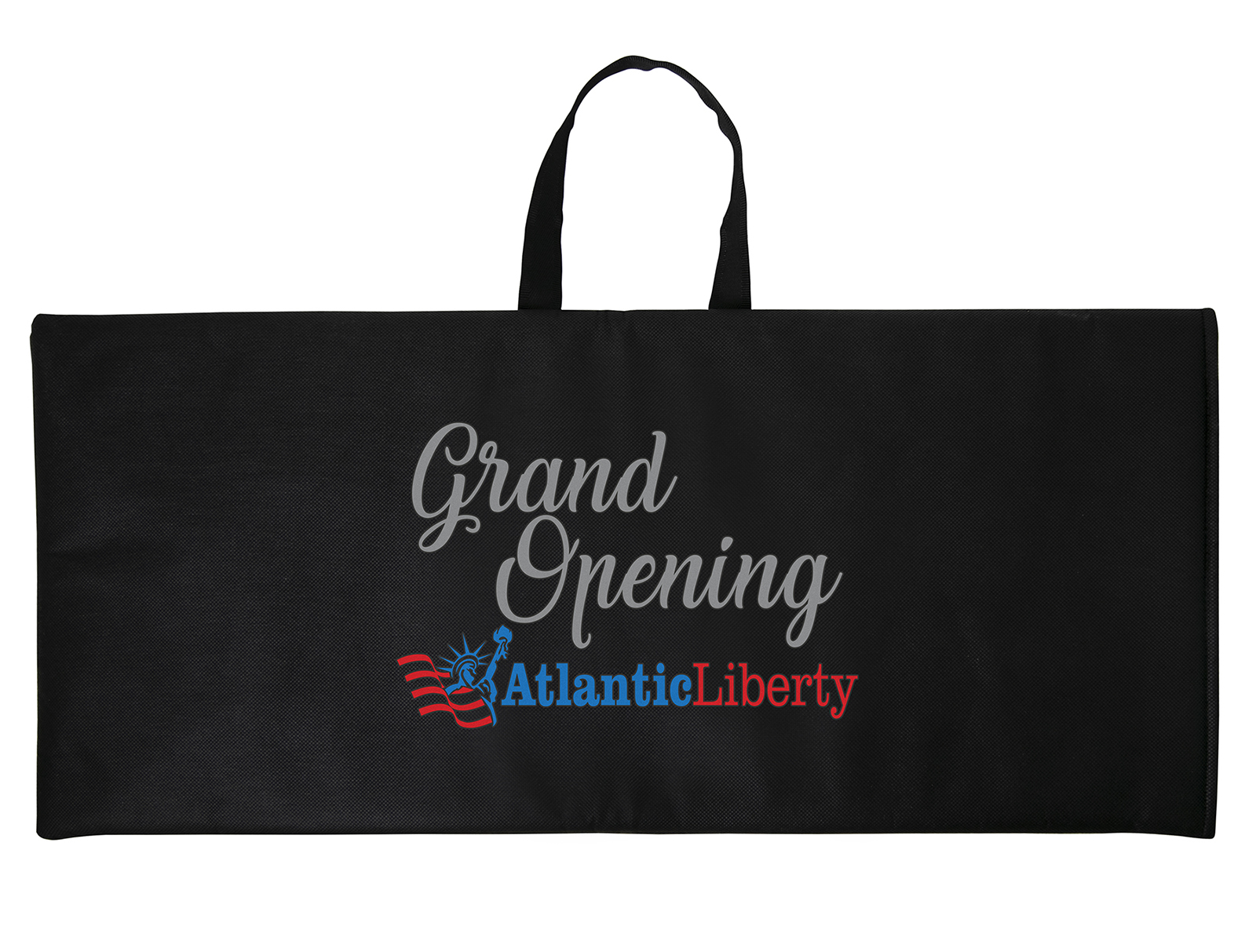 Carrying Case - ColorVista