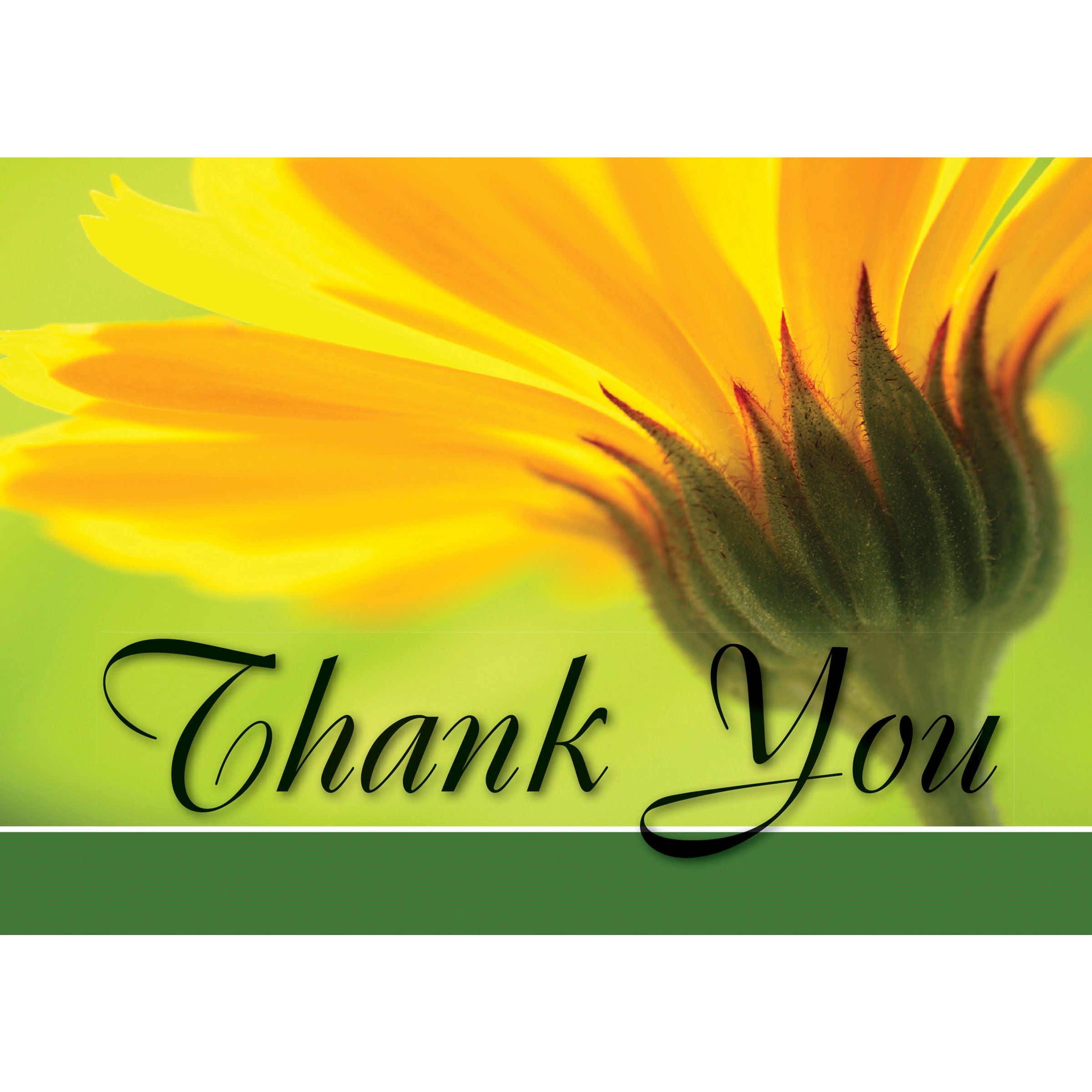 Golden Bloom Thank You Cards 2