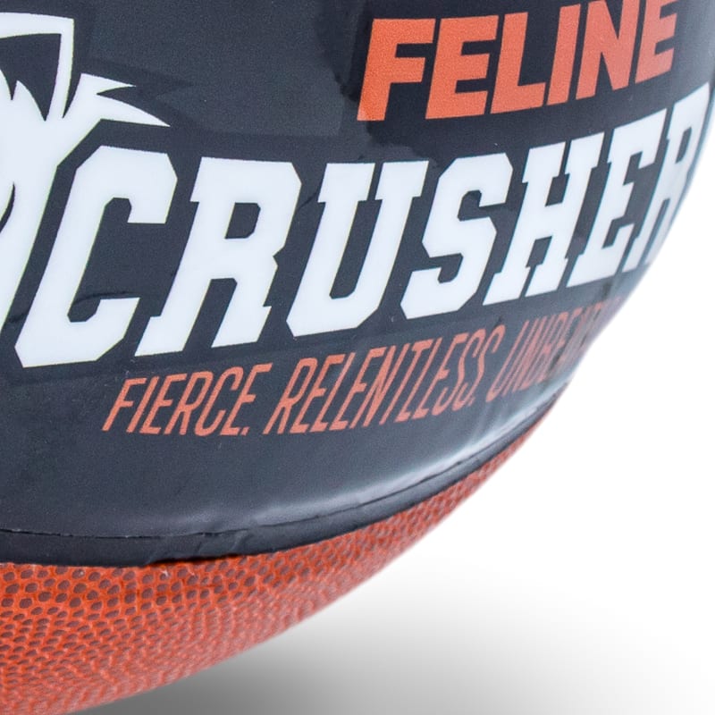 Custom Photo Basketball 13