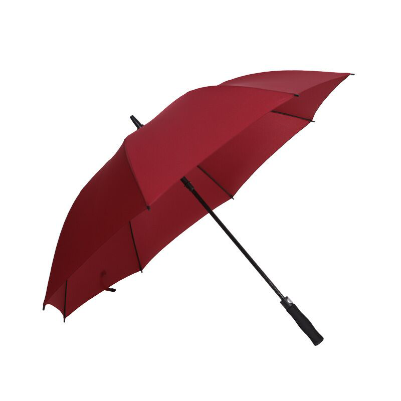Automatic umbrella 2