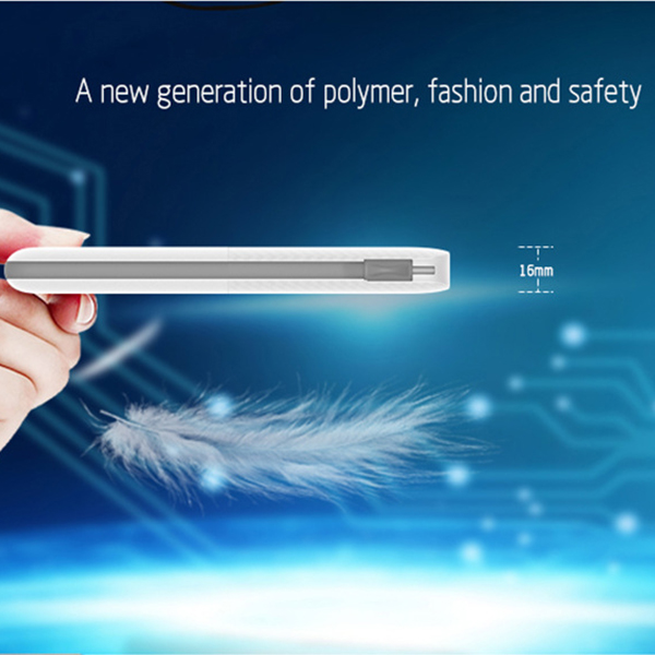 Portable Charger Power Bank 10000mAh Capacity 6