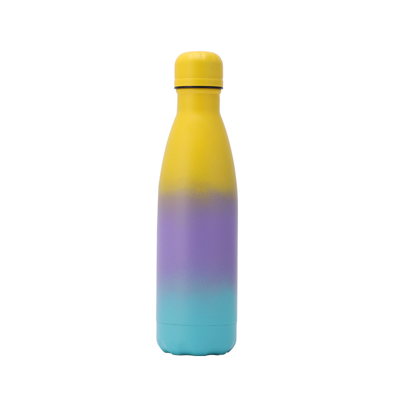 Gradients 17 oz Double Wall Stainless Steel bottle with Sponge Brush 5