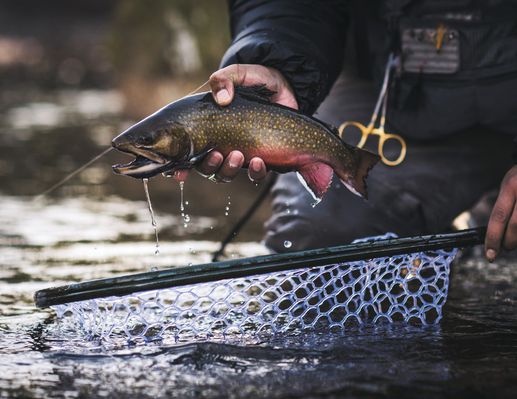 Good Value™ Fishing - Stapled Calendar 22
