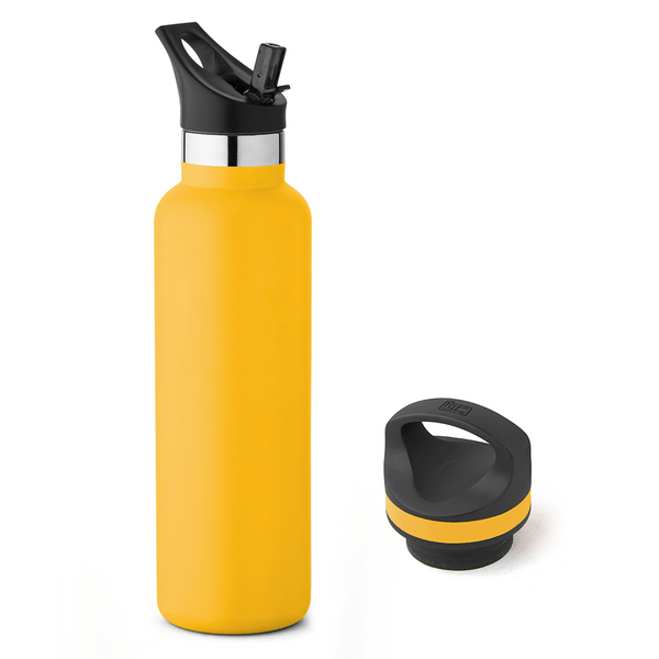 20 oz Basecamp Mesa Tundra Bottle with Screw Top and Flip-Top Straw Lid 118