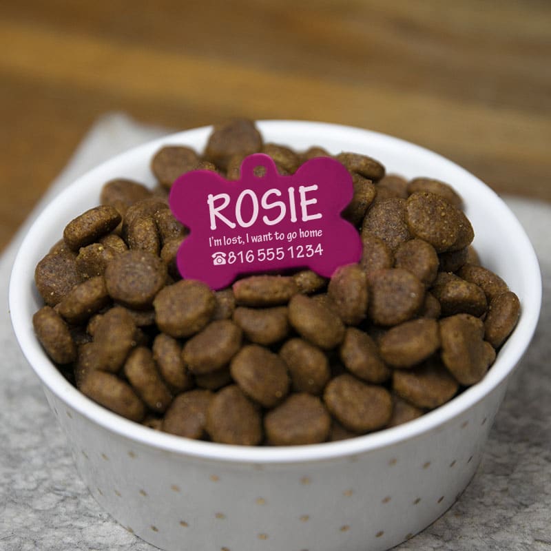 Pet Tags 12