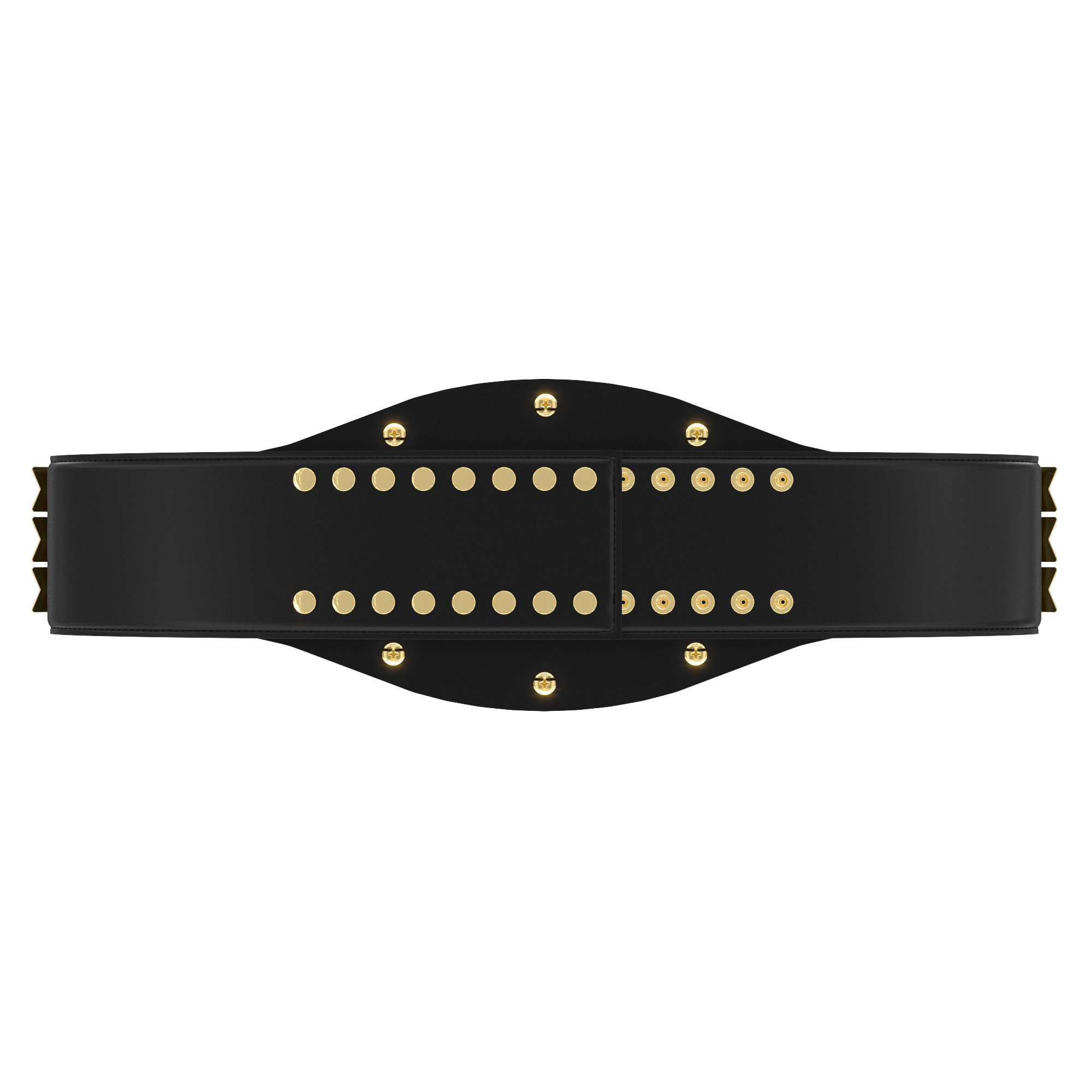 Express Vibraprint® Perpetual Championship Award Belt- Round 9